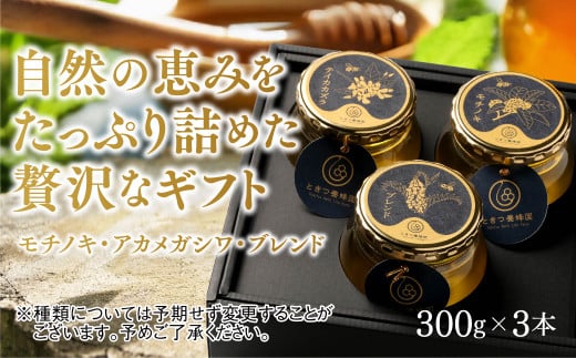 B060 山口県産 愛情いっぱい極上のはちみつギフトセット大(300g×3本) 1445354 - 山口県山口市