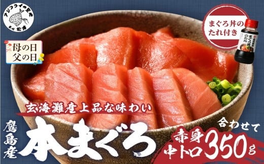 ＼母の日・父の日／【TVで紹介！】 鷹島産本まぐろ 中トロ赤身合わせて350g(まぐろ丼たれ付き)( マグロ まぐろ 中トロ 赤身 本まぐろ おかず 手軽 肴 おつまみ 晩酌 柵 流水解凍 鮪 国産 クロマグロ 冷凍 マグロ丼 カルパッチョ 刺身 寿司 海鮮 丼 人気 おすすめ 養殖 長崎 松浦 )【B4-053】