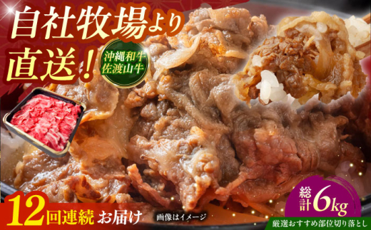 【全12回定期便】【厳選！おすすめ部位】沖縄和牛 佐渡山牛 切り落とし 500g 牛肉 焼肉 焼き肉 和牛 赤身 沖縄市 / 肉のサブロー [BCBC010]