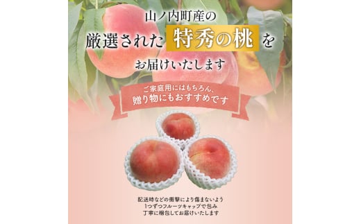 長野県山ノ内町のふるさと納税 志賀高原の麓で育った 川中島白桃特秀16玉 約5kg  桃 白桃 フルーツ 果物 デザート 長野