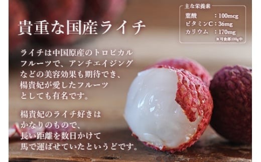 ＜宮崎県産 生ライチ 500g＞