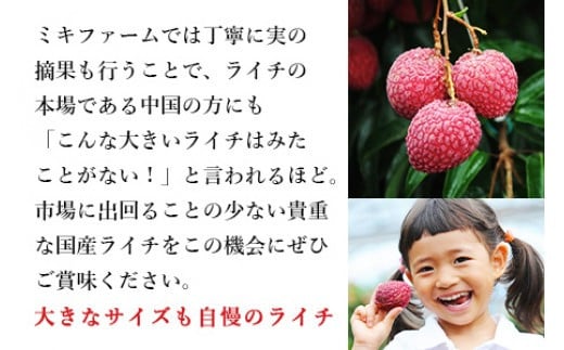 ＜宮崎県産 生ライチ 500g＞