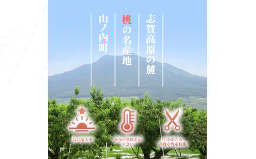 長野県山ノ内町のふるさと納税 志賀高原の麓で育った 川中島白桃特秀16玉 約5kg  桃 白桃 フルーツ 果物 デザート 長野