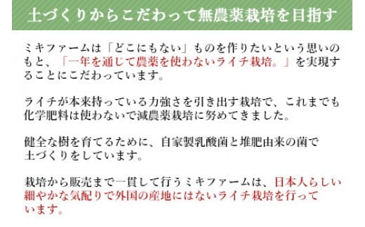 ＜宮崎県産 生ライチ 500g＞