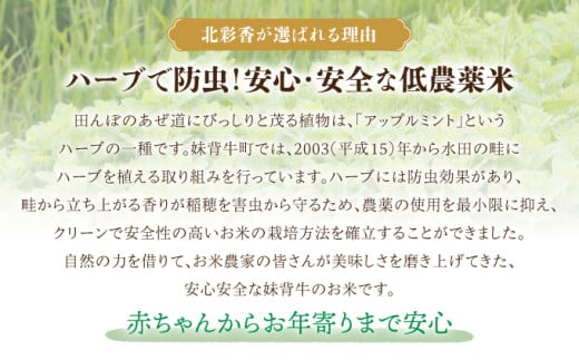 北海道妹背牛町のふるさと納税 令和7年産 妹背牛産新米【プレミアム北彩香(ななつぼし)】白米5kg 真空パック 2026年1月発送