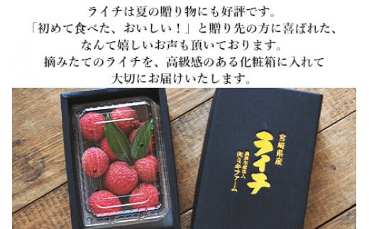 ＜宮崎県産 生ライチ 500g＞