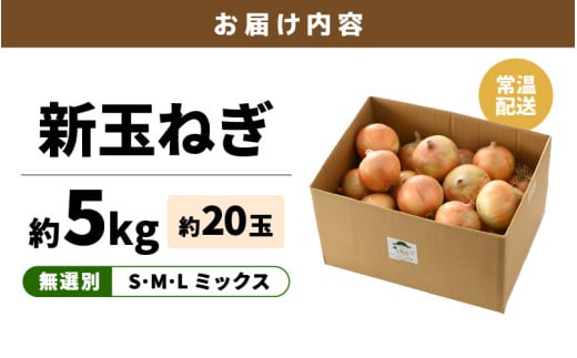 新玉ねぎ 5キロ 佐賀県 農家直送 送料込み - メルカリ
