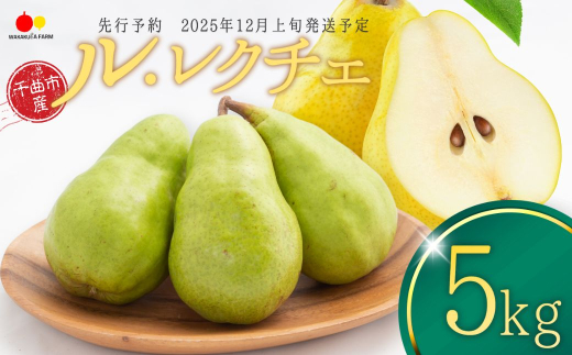 【2025年先行予約】 洋なし ル・レクチェ 約5kg 若草農園 梨 洋梨 洋なし 西洋梨 ルレクチェ ル・レクチェ 千曲市 長野県 信州 2037842 - 長野県千曲市