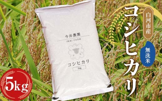 【無洗米】白河市産 コシヒカリ 5kg 米 コメ ごはん ご飯 食品 F24R-081
