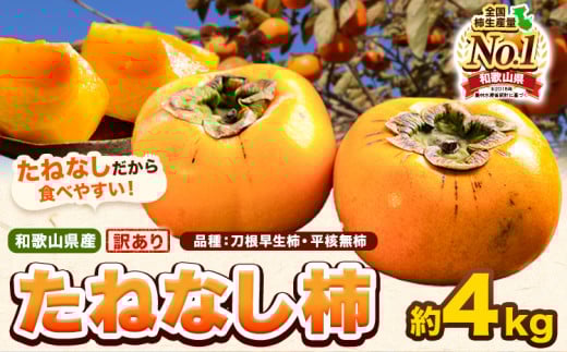 和歌山県産 訳あり たねなし柿(刀根早生柿・平核無柿)約4kg 《2025年9月中旬-11月上旬頃出荷(土日祝除く)》 和歌山県 岩出市 訳あり ご家庭用 種なし柿 柿 果物 フルーツ カキ 2140079 - 和歌山県岩出市