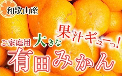 家庭用 大きな有田みかん10kg+250g（傷み補償分）［2025年11月中旬から2026年1月下旬頃順次発送予定］［IKE243］ 765547 - 和歌山県和歌山市
