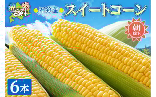 スイートコーン「恵味ゴールド」とうもろこし 6本|ふるさと納税 北海道 石狩市 トウモロコシ とうきび トウキビ 恵みゴールド めぐみゴールド コーン イエローコーン 旬 旬の野菜 高糖度 甘い 人気 美味しい 北海道産 北海道直送スイーツ めぐみシリーズ