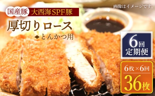 【6回定期便】大西海SPF豚 国産豚 厚切りロース とんかつ用 計900g（6枚） 訳あり ＜大西海ファーム＞ [CEK176] 371164 - 長崎県西海市