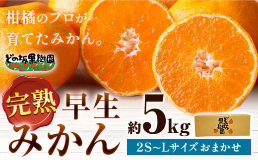 【先行予約】みかん 早生 みかん 約 5kg (2S～Lサイズ) どの坂果樹園《12月上旬-1月末頃出荷予定》 和歌山県 日高町 みかん 早生 旬 柑橘 フルーツ 果物 蜜柑 ミカン 先行予約