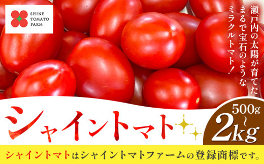 [先行予約]シャイントマト 選べる内容量 500g 1kg 2kg シャイントマトファーム[1月中旬-6月中旬頃出荷]岡山県 笠岡市 送料無料 トマト 野菜 ミニトマト[配送不可地域あり] st-p