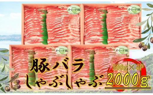 オリーブ豚 バラしゃぶしゃぶ用 2000g 2039146 - 香川県坂出市