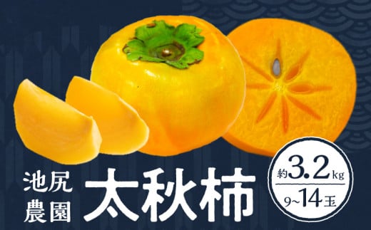 【2025年10月発送】池尻農園 太秋柿 9玉～14玉 約3.2kg_柿 甘柿 太秋柿 9玉 ～ 14玉 約 3.2kg 種が少ない 池尻農園 シャキシャキとした食感 さっぱり 多汁 高い糖度 国産 フルーツ 果物 福岡県 久留米市 お取り寄せ お取り寄せフルーツ 食品 食べ物 送料無料_Fk012