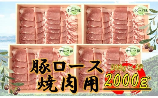オリーブ豚 ロース焼肉用 2000g 2039137 - 香川県坂出市