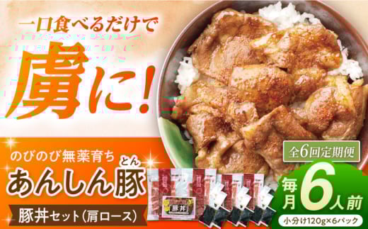【6回定期便】豚丼セット 豚肉 肩ロース 国産 白川町 / 藤井ファーム [AWAF014]