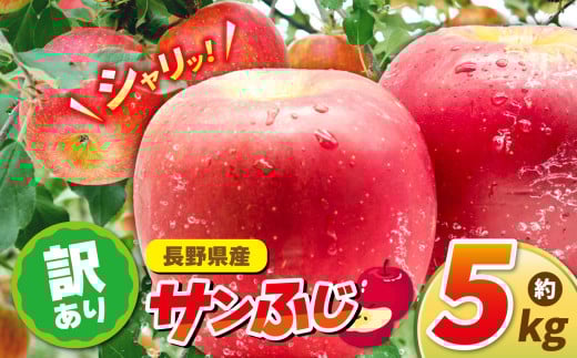【11月上旬から順次発送】【先行予約】りんごサンふじ 5ｋｇ 訳あり | ふるさと納税 長野県 松本市 信州 季節限定 訳アリ サンふじ りんご 1997349 - 長野県松本市