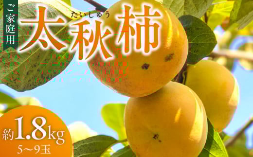 【訳あり品】【10月より順次発送】池尻農園 太秋柿 5～9玉 約1.8kg ご家庭用_Fk015 1395172 - 福岡県久留米市