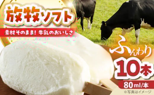 アイス アイスクリーム ラクトアイス 牛乳 生乳 朝搾り 北海道