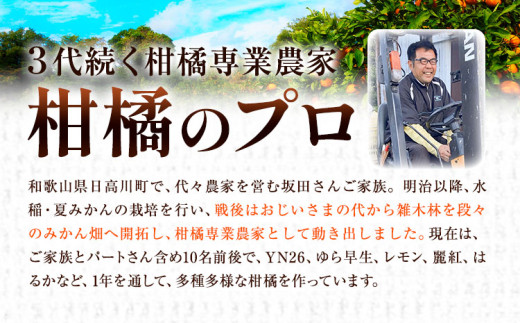 和歌山県日高川町のふるさと納税 みかん ＜先行予約＞ 早生みかん 約 5kg (2S～Lサイズ) どの坂果樹園《12月上旬-1月末頃出荷予定》2025年出荷 和歌山県 日高川町 みかん 早生  旬 柑橘 フルーツ 果物