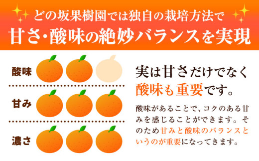 和歌山県日高川町のふるさと納税 みかん ＜先行予約＞ 早生みかん 約 5kg (2S～Lサイズ) どの坂果樹園《12月上旬-1月末頃出荷予定》2025年出荷 和歌山県 日高川町 みかん 早生  旬 柑橘 フルーツ 果物