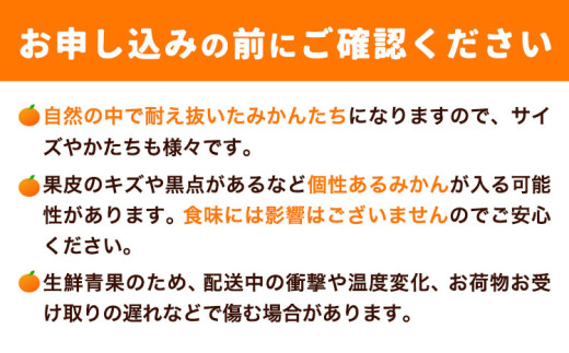 和歌山県日高川町のふるさと納税 みかん ＜先行予約＞ 早生みかん 約 5kg (2S～Lサイズ) どの坂果樹園《12月上旬-1月末頃出荷予定》2025年出荷 和歌山県 日高川町 みかん 早生  旬 柑橘 フルーツ 果物