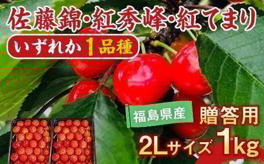 さくらんぼ 佐藤錦 紅秀峰 紅てまりのどれか1品種 1kg 2Lサイズ 贈答用 ＜有我果樹園＞ F7X-0230 1340930 - 福島県須賀川市