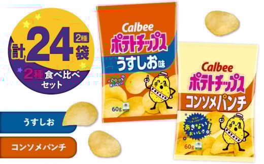 カルビー ポテトチップス 2種食べ比べセット【うすしお×コンソメパンチ】計24袋　K194-002_09 2012768 - 鹿児島県鹿児島市