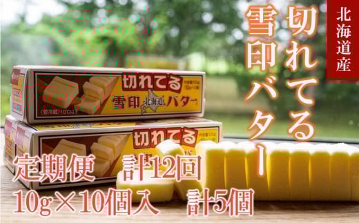 【12か月 定期便】切れてる 雪印 北海道 バター（10g×10個入）×5個【 乳製品 バター 雪印 朝食 ギフト　料理用 キャンプ 標茶町 北海道 】
