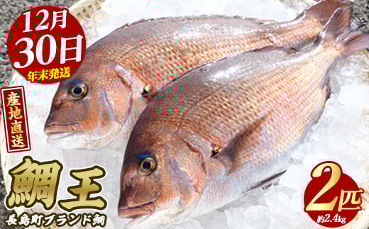 【2025年12月30日発送】長島町特産「鯛王」(2匹・約2.4kg) 産地直送 新鮮 旨味が抜群の 長島町 特産品 ブランド 真鯛 をまるごと 一匹 楽しめる 刺身 鯛めし 鯛茶漬け 鯛しゃぶ 鯛刺身 鮮魚 冷蔵 年末発送【JFA】jfa-22-1230