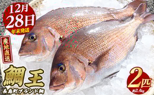【2025年12月28日発送】長島町特産「鯛王」(2匹・約2.4kg) 産地直送 新鮮 旨味が抜群の 長島町 特産品 ブランド 真鯛 をまるごと 一匹 楽しめる 刺身 鯛めし 鯛茶漬け 鯛しゃぶ 鯛刺身 鮮魚 冷蔵 年末発送【JFA】jfa-22-1228