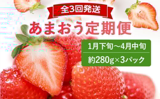 【2026年先行いちご定期便】あまおう3パックｘ3回(1月下旬～、2月～、3月～発送) お取り寄せグルメ お取り寄せ 福岡 お土産 九州 福岡土産 取り寄せ グルメ 福岡県 1188377 - 福岡県志免町