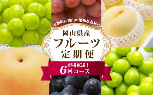 フルーツ 定期便 2025年 先行予約 フルーツ王国 岡山を堪能 6回コース 夏・秋・冬物語 桃 もも 葡萄 ぶどう 梨 なし岡山県産 国産 果物 セット ギフト 778535 - 岡山県岡山市