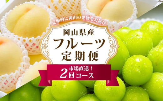 フルーツ 定期便 2025年 先行予約 フルーツ王国 岡山 ベストセレクト 2回コース 桃 もも 葡萄 ぶどう マスカット 岡山県産 国産 果物 セット ギフト 778531 - 岡山県岡山市
