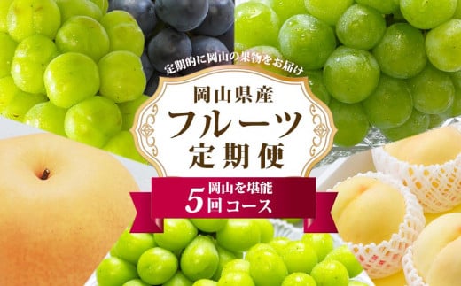 フルーツ 定期便 2025年 先行予約 フルーツ王国 岡山の果物 5回コース 夏～冬物語 桃 もも 葡萄 ぶどう 梨 なし岡山県産 国産 果物 セット ギフト 778530 - 岡山県岡山市