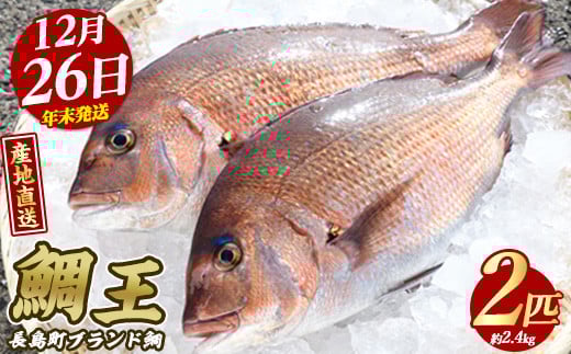 【2025年12月26日発送】長島町特産「鯛王」(2匹・約2.4kg) 産地直送 新鮮 旨味が抜群の 長島町 特産品 ブランド 真鯛 をまるごと 一匹 楽しめる 刺身 鯛めし 鯛茶漬け 鯛しゃぶ 鯛刺身 鮮魚 冷蔵 年末発送【JFA】jfa-22-1226