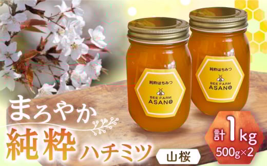 純粋ハチミツ 山桜 500g×2 瑞浪市 / honey shop Bee farm asano 蜂蜜 はちみつ [AZBT009] 1010204 - 岐阜県瑞浪市