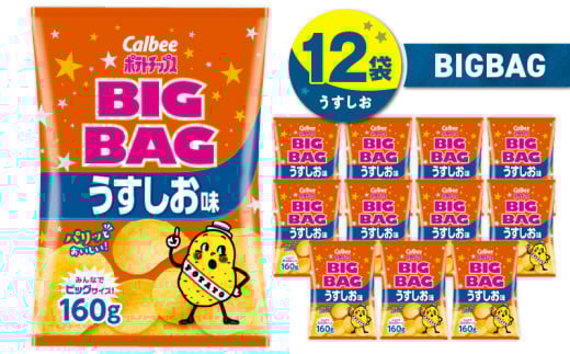 カルビー ポテトチップス BIGBAG【うすしお】12袋 K194-002_04 2012763 - 鹿児島県鹿児島市