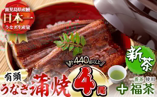 極うなぎ蒲焼110g以上×4尾(計440g以上)+福茶100g b3-007 427720 - 鹿児島県志布志市
