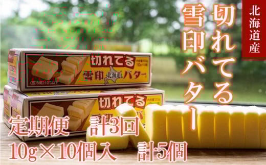 【3か月 定期便】切れてる 雪印 北海道 バター（10g×10個入）×5個【 乳製品 バター 雪印 朝食 ギフト　料理用 キャンプ 標茶町 北海道 】