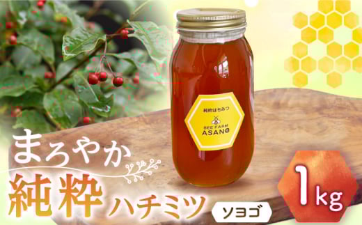 純粋ハチミツ ソヨゴ 1,000g×1 瑞浪市 / honey shop Bee farm asano 蜂蜜 はちみつ [AZBT012] 833601 - 岐阜県瑞浪市