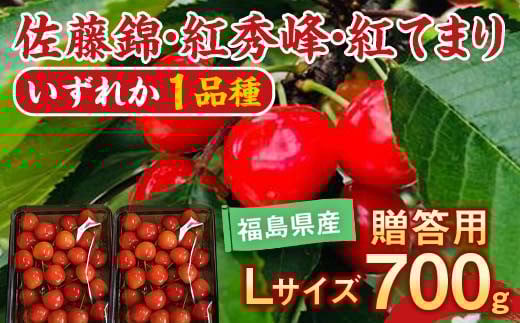 さくらんぼ 佐藤錦 紅秀峰 紅てまり どれか1品種 約700g L～2Lサイズ 贈答用 ＜有我果樹園＞ F7X-0228 1340928 - 福島県須賀川市
