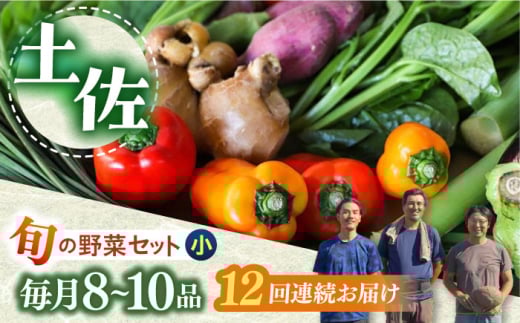【12回定期便】 土佐の太陽をいっぱいに浴びた旬の野菜セット小 　野菜 定期便 やさい 高知市 詰め合わせ  【土佐野菜】 [ATBA007] 454241 - 高知県高知市