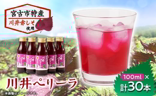 「川井ペリーラ」ドリンクセット(100ml 5本入り×6箱)【1533687】 1492710 - 岩手県宮古市