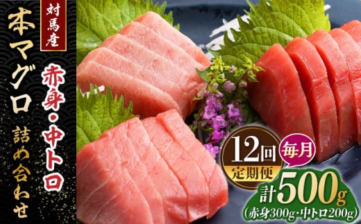 【全12回定期便】対馬産 本マグロ 500g（赤身300g、中トロ200g） ≪対馬市≫【桐谷商店】 トロの華 対馬 新鮮 マグロ トロ 鮪 刺身 鮮度抜群 [WAQ046] 2051149 - 長崎県対馬市