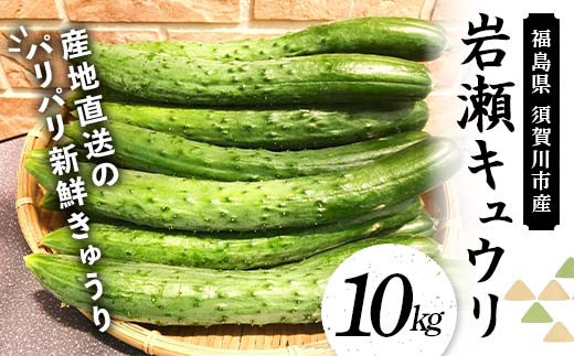 福島県須賀川市産 岩瀬キュウリ10kg 産地直送のパリパリ新鮮きゅうり F7X-0132 696754 - 福島県須賀川市