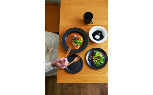 【美濃焼】 miyama. パスタボウル プルー 鉄釉 2個 瑞浪市 / ミヤマプランニング 食器 皿 プレート [AZCM055] 1317926 - 岐阜県瑞浪市